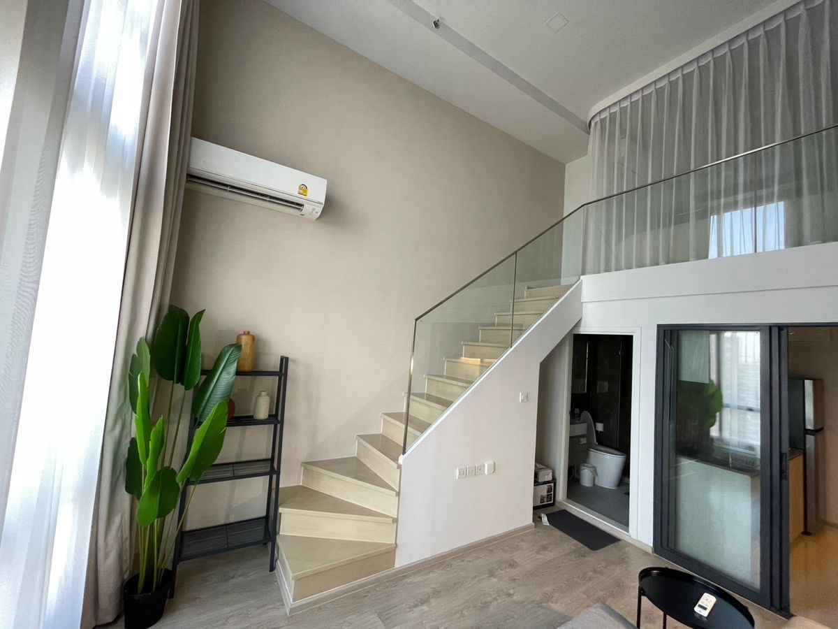 The tree pattanakan Ekkamai 