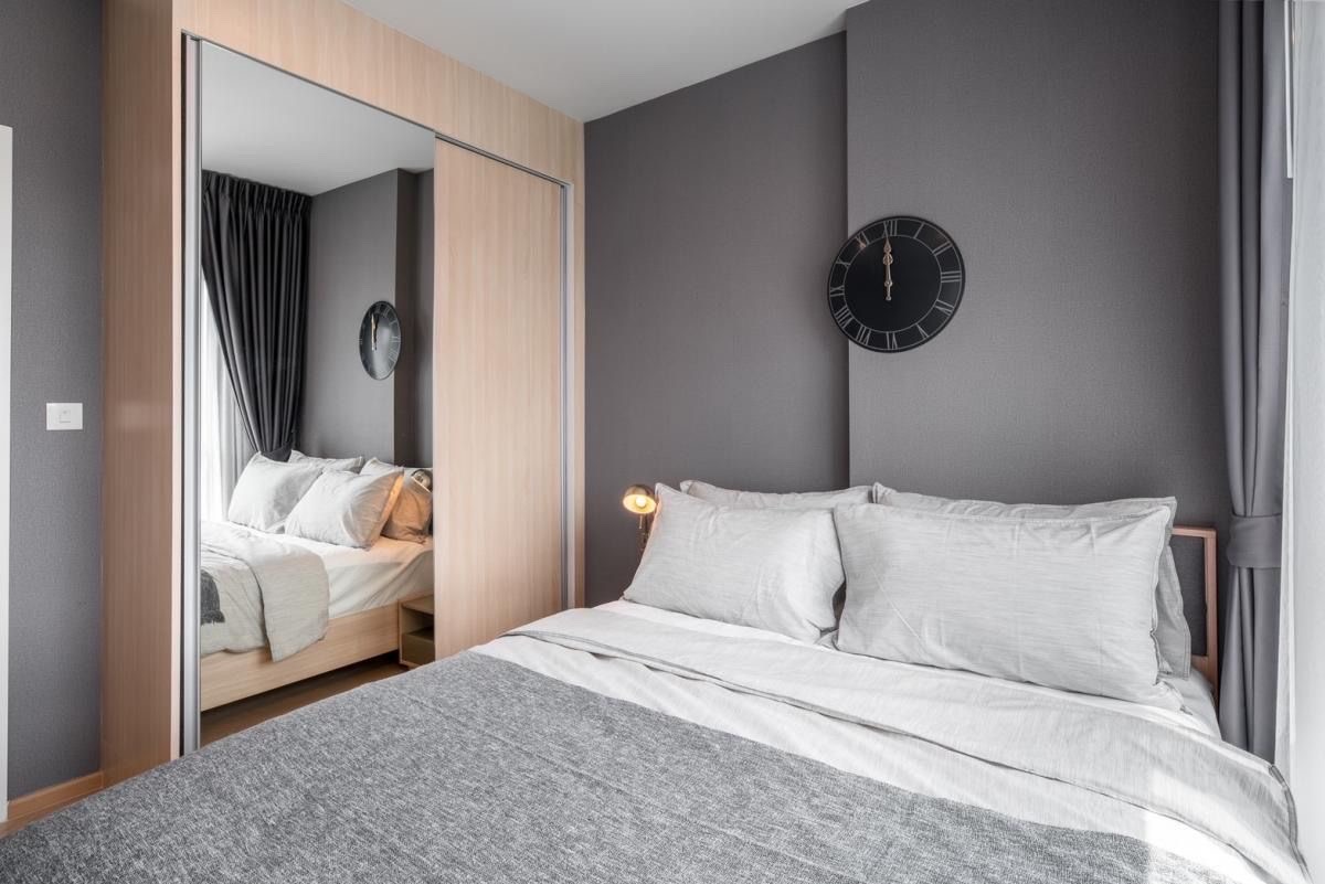 The tree Sukhumvit 71 Ekkamai 