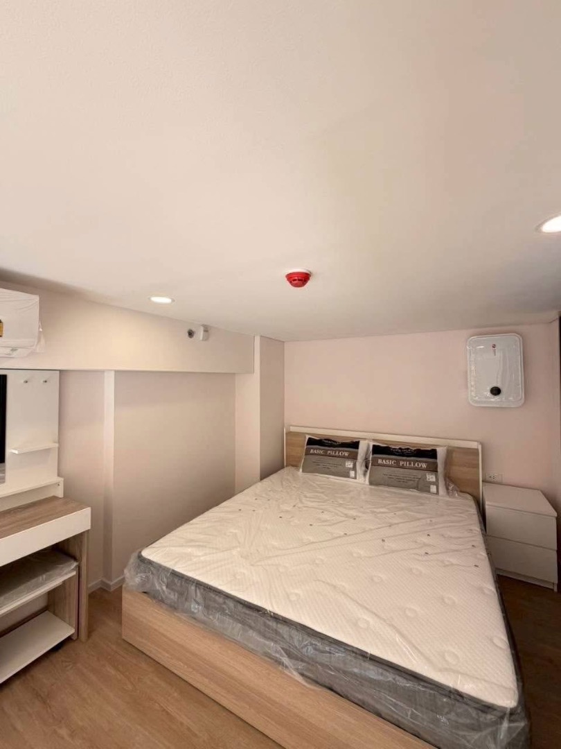 Siamese  rama9🌿🤍