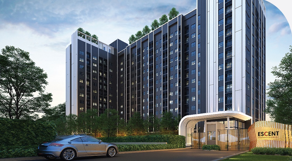 banner-project-details