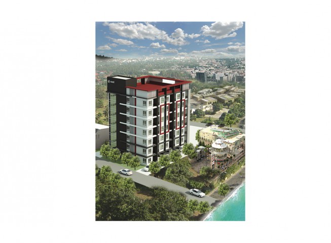 banner-project-details