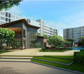 banner-project-details