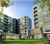 banner-project-details