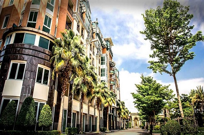 banner-project-details