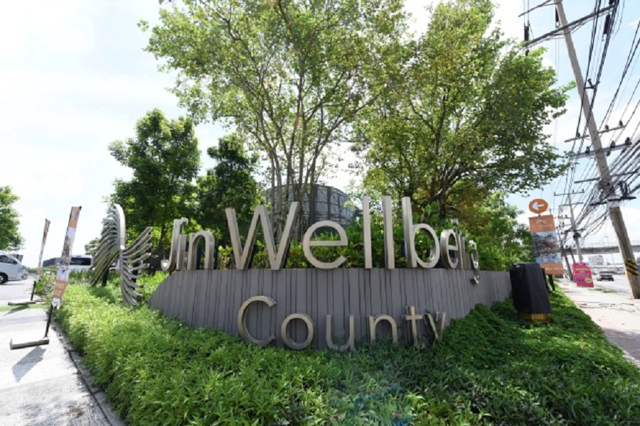 Condo-Jin-Wellbeing-County