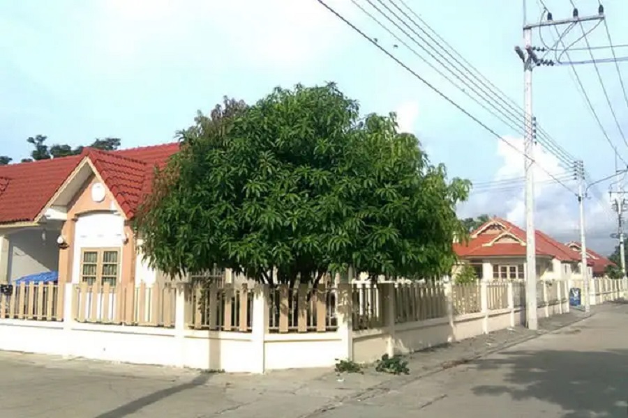 Pruek-Saran-Khlong-9