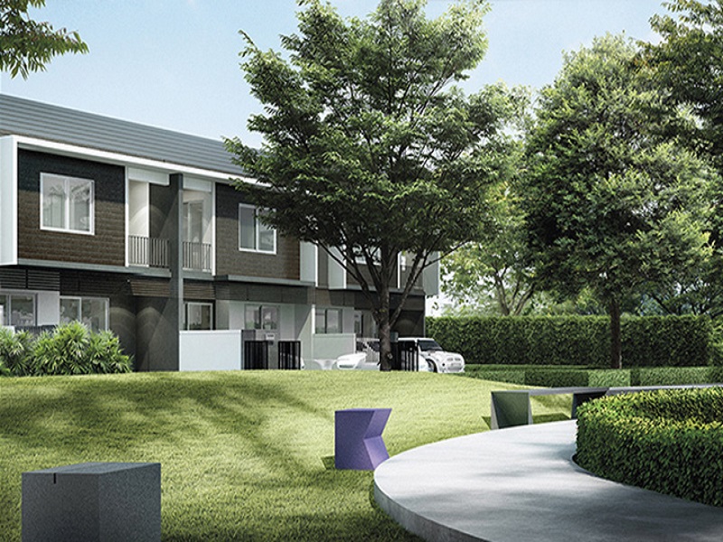 The-Vertical-Lamlukka-Klong-4