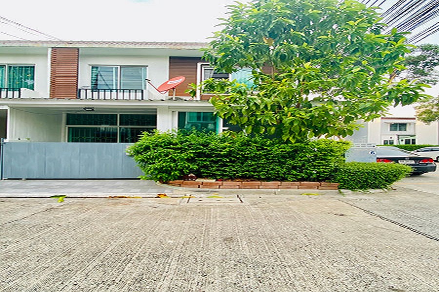 อารียา-เดอะคัลเลอร์-2