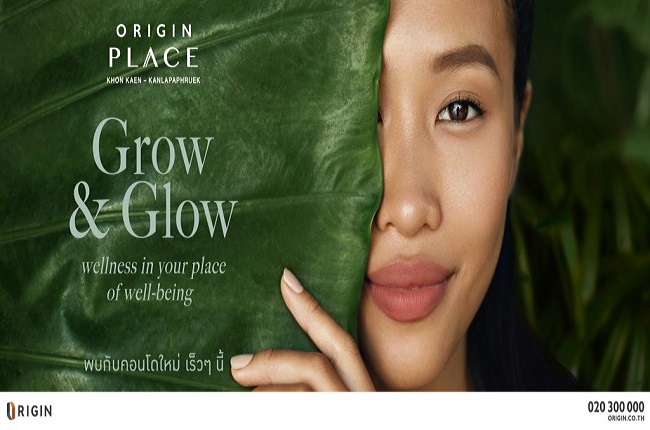 banner-project-details