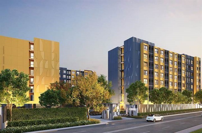 banner-project-details