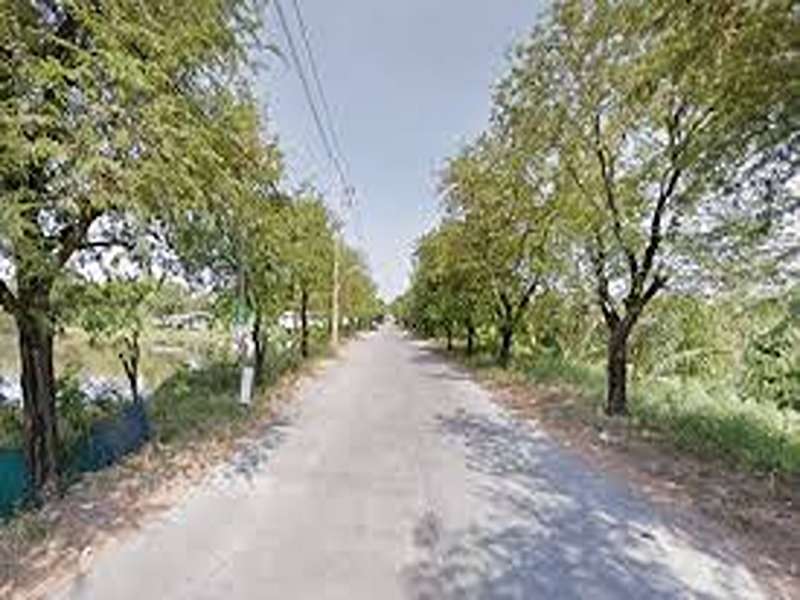 Parkview-Villa-Bangna-KM-5