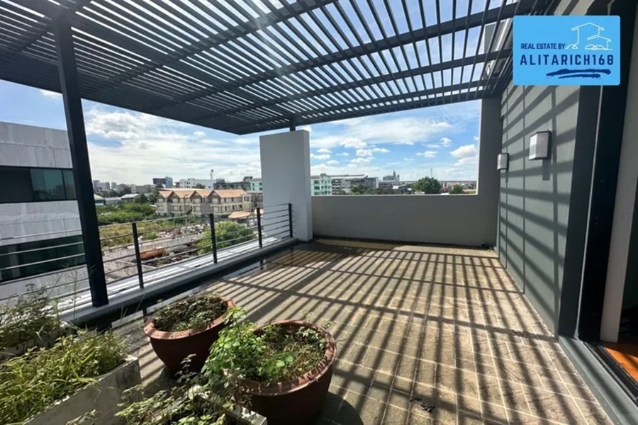 อลิชา-วิลล์