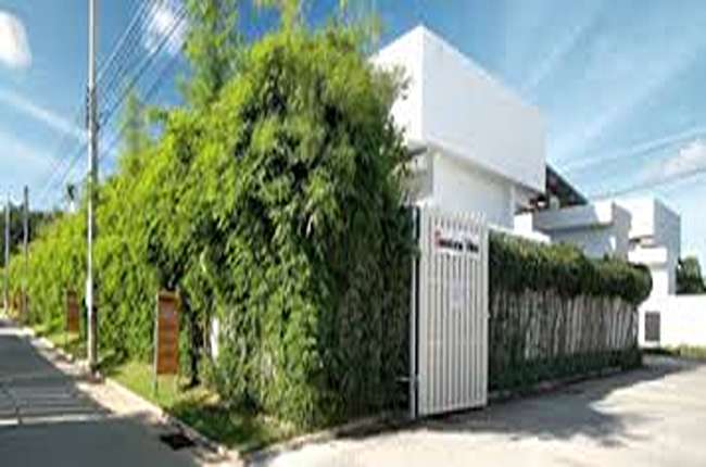 banner-project-details