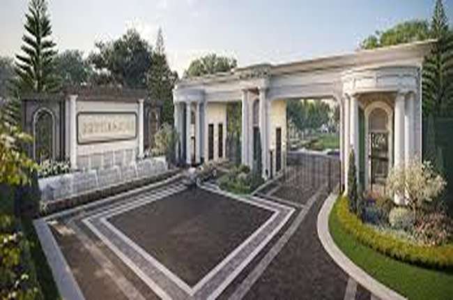 banner-project-details