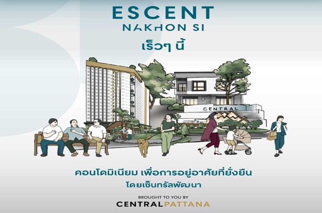 banner-project-details