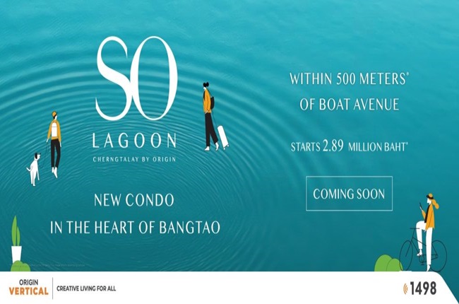 banner-project-details