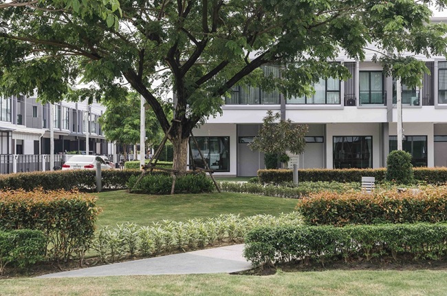 banner-project-details