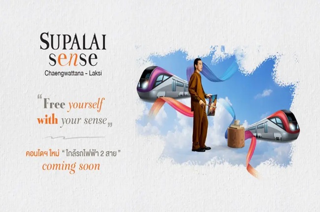 banner-project-details