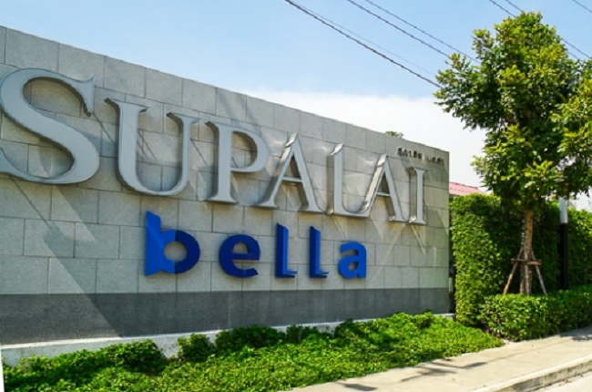 banner-project-details