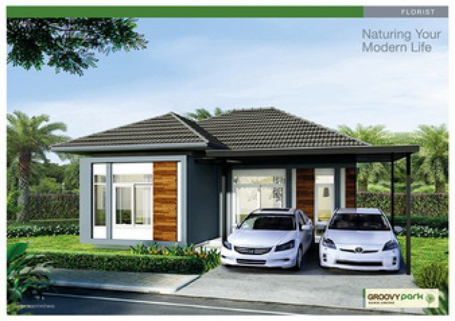 banner-project-details